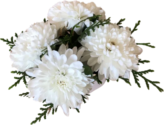 Hvid chrysanthemum i lille vase